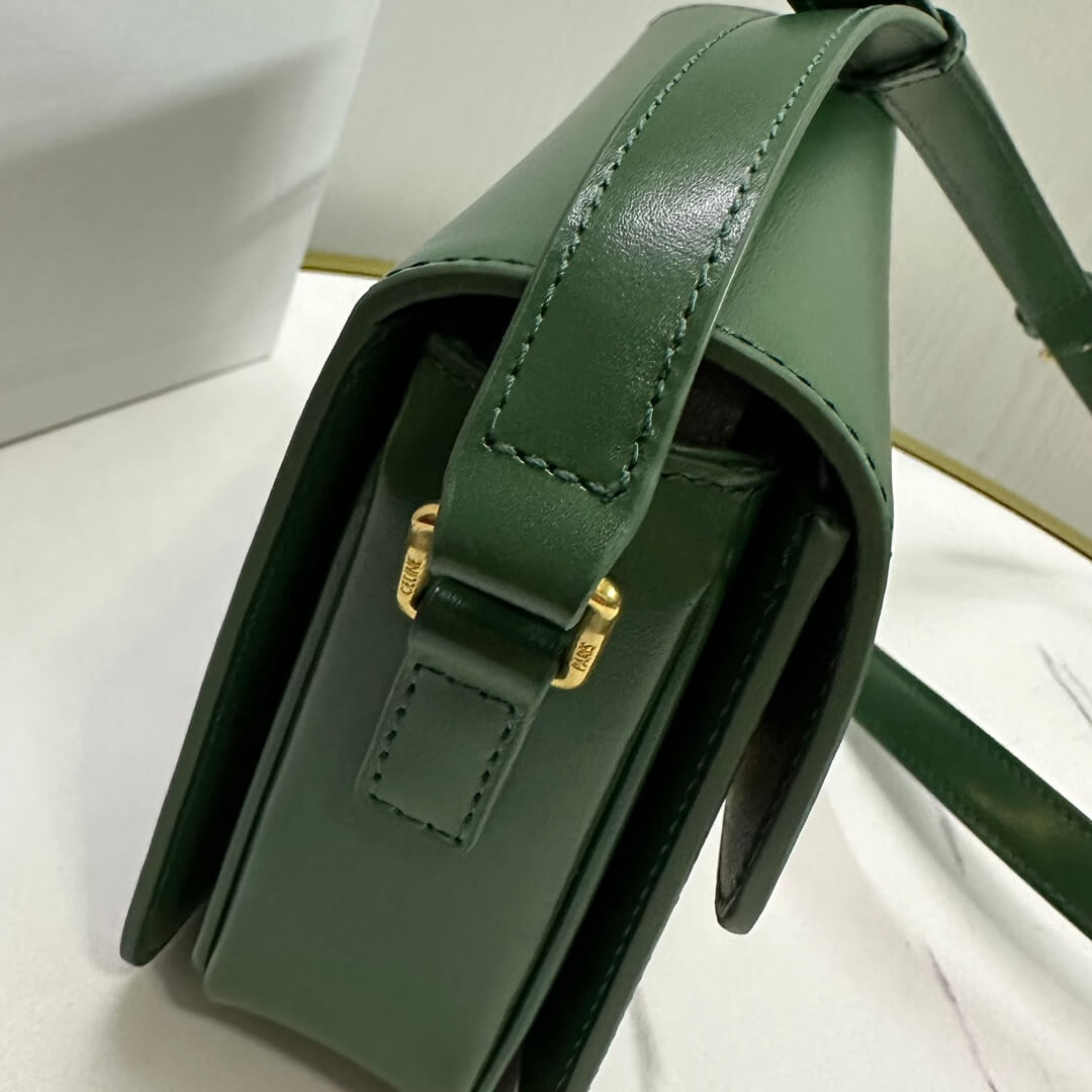 Celine Medium Triomphe Bag