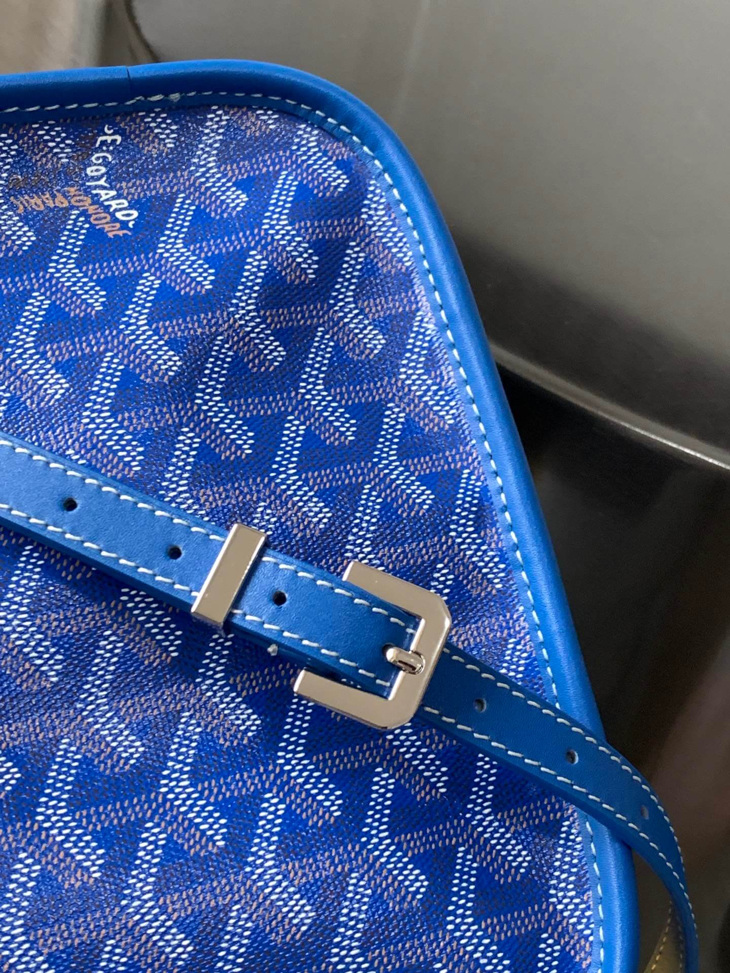 Goyard Belvedere PM Bag