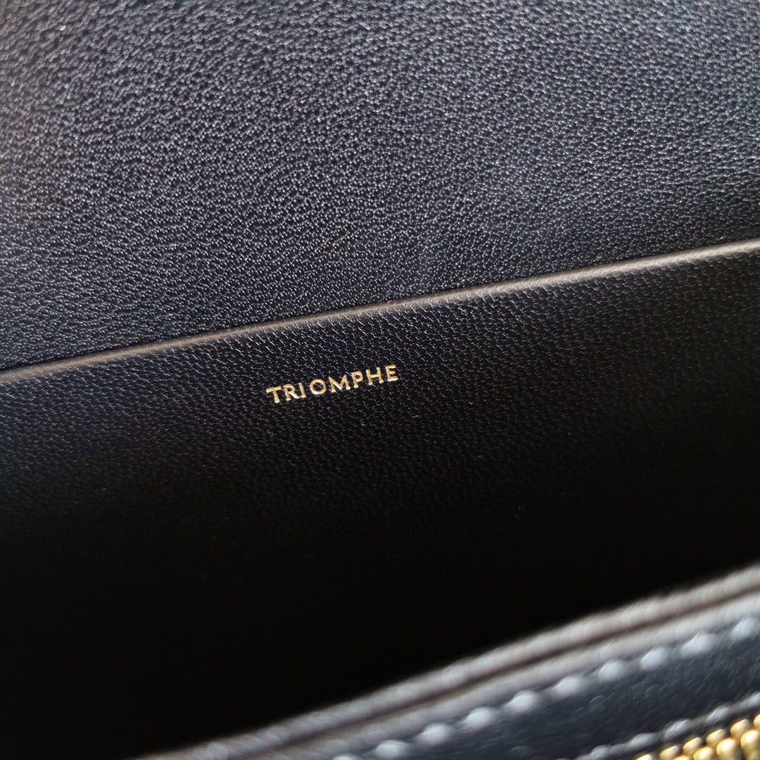 Celine Triomphe Bag