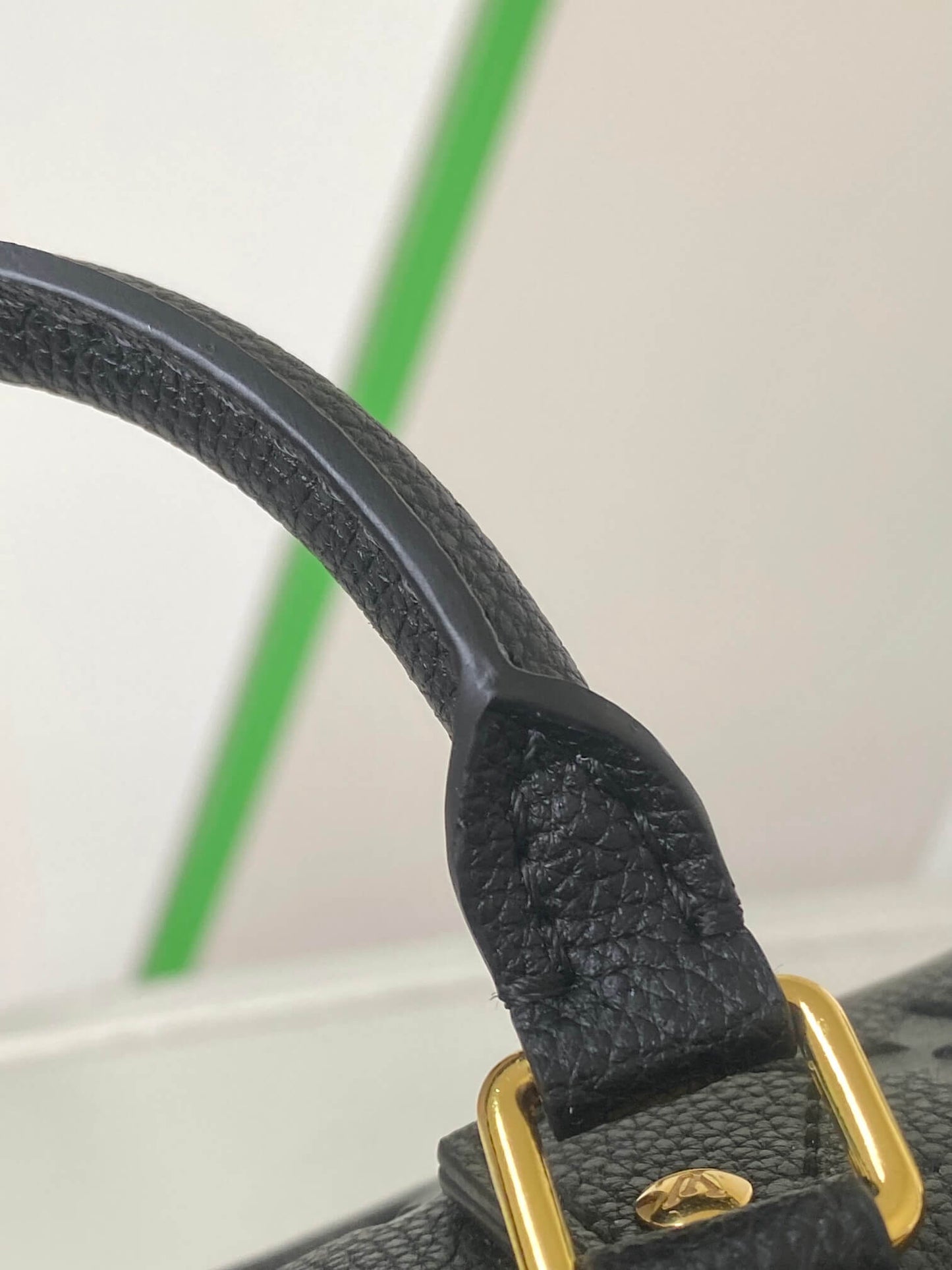 LV Nano Speedy Bag
