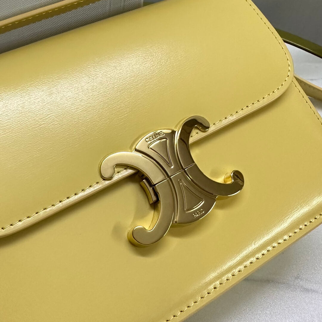 Celine Medium Triomphe Bag