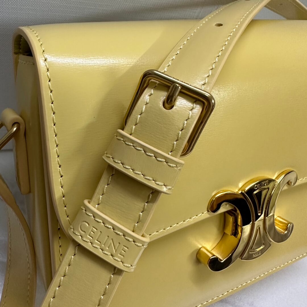 Celine Medium Triomphe Bag