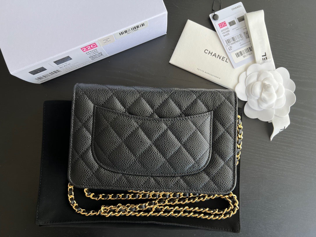 Chanel WOC Bag