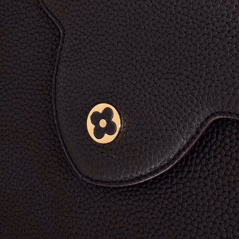 LV Capucines Bag