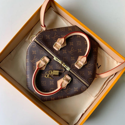 Louis Vuitton Speedy 25 – M41113