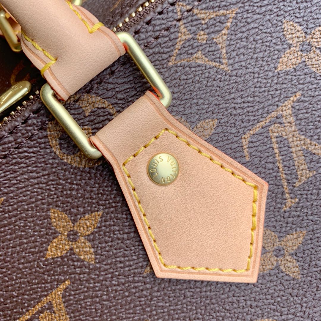 Louis Vuitton Speedy 25 – M41113