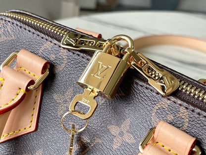 LV Speedy 20 Bag