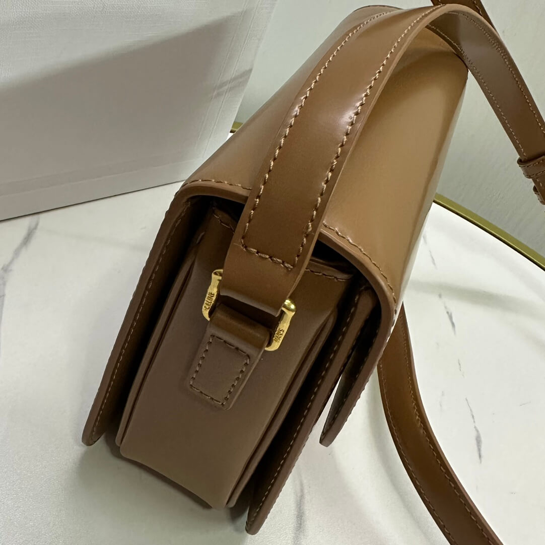 Celine Medium Triomphe Bag