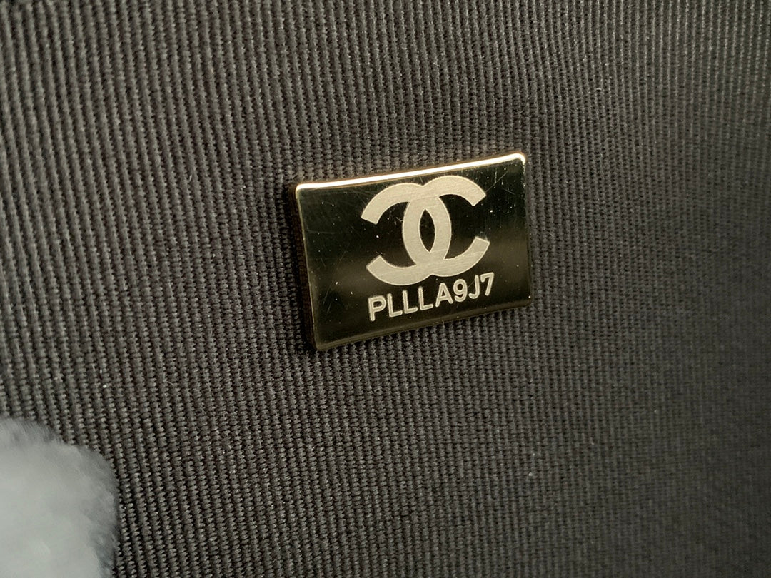 Chanel Popular Camera Bag
