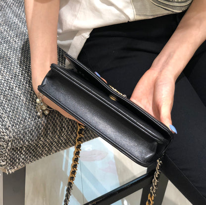 Chanel 19Bag Flap Bag Series