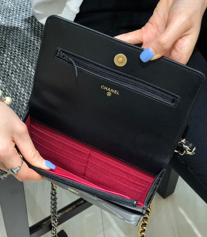 Chanel 19Bag Flap Bag Series