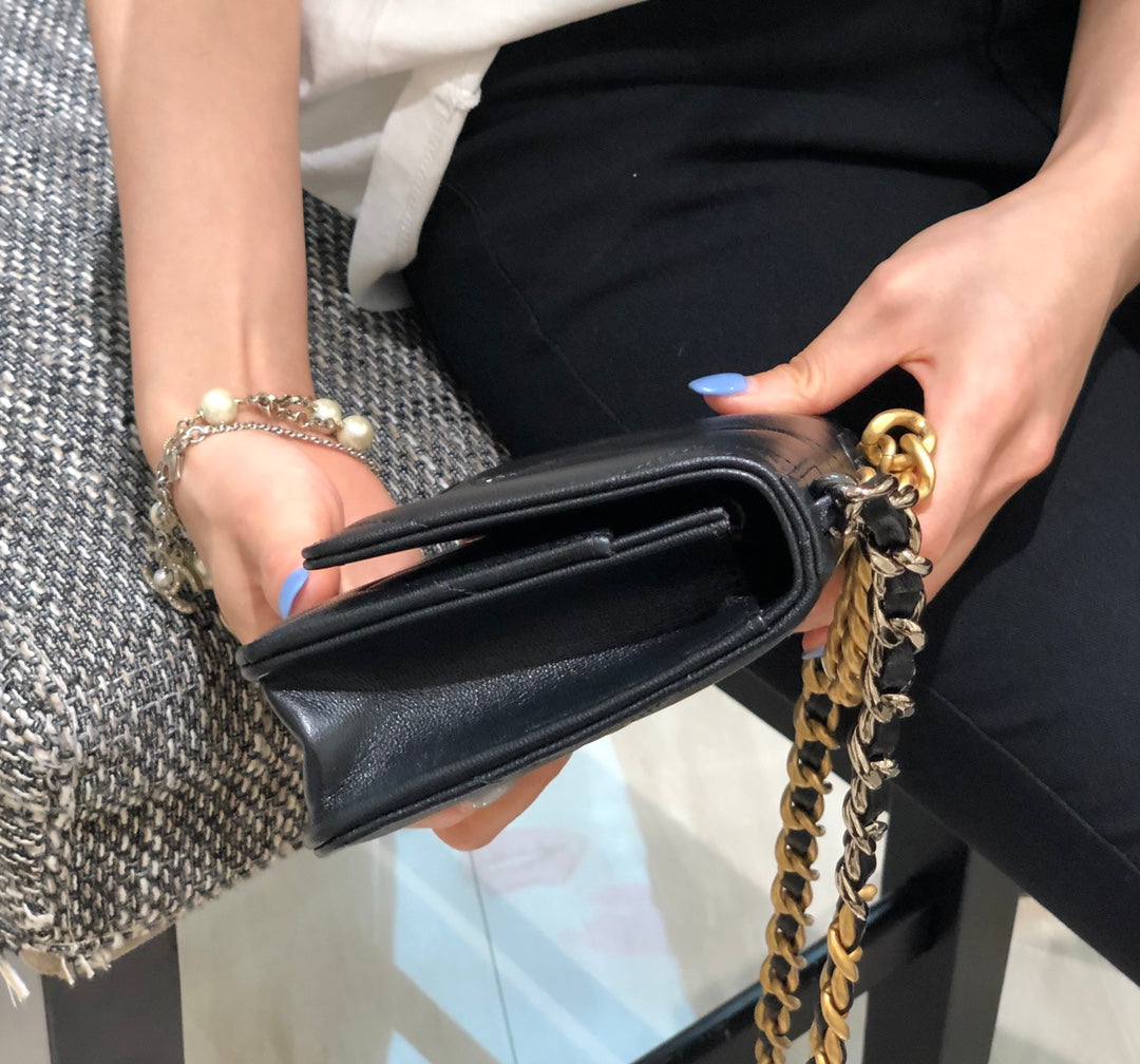 Chanel 19Bag Flap Bag Series