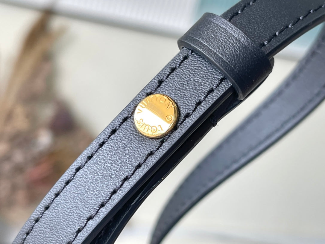 LV Tilsitt Monogram Bag