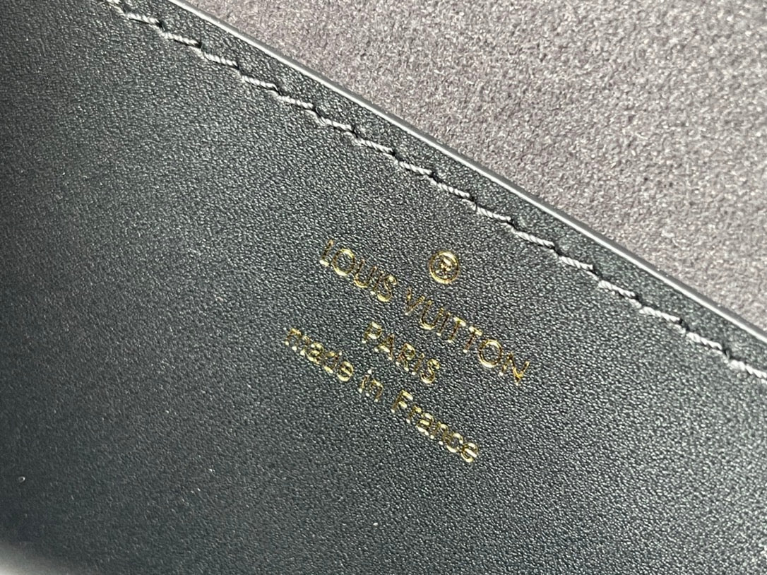 LV Tilsitt Monogram Bag