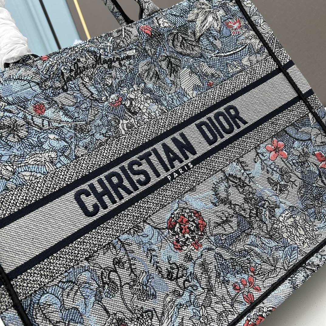 DIOR Book Tote Bag