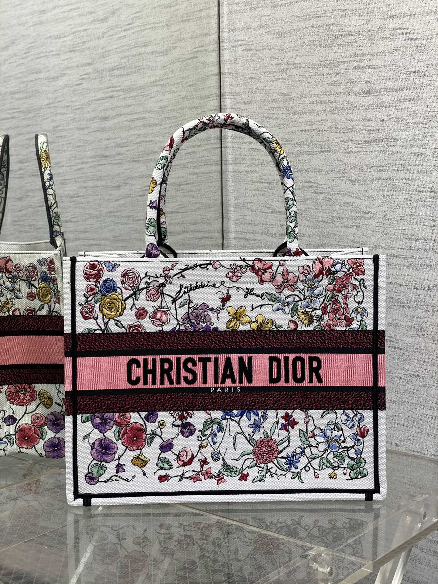 Dior Book Tote Bag