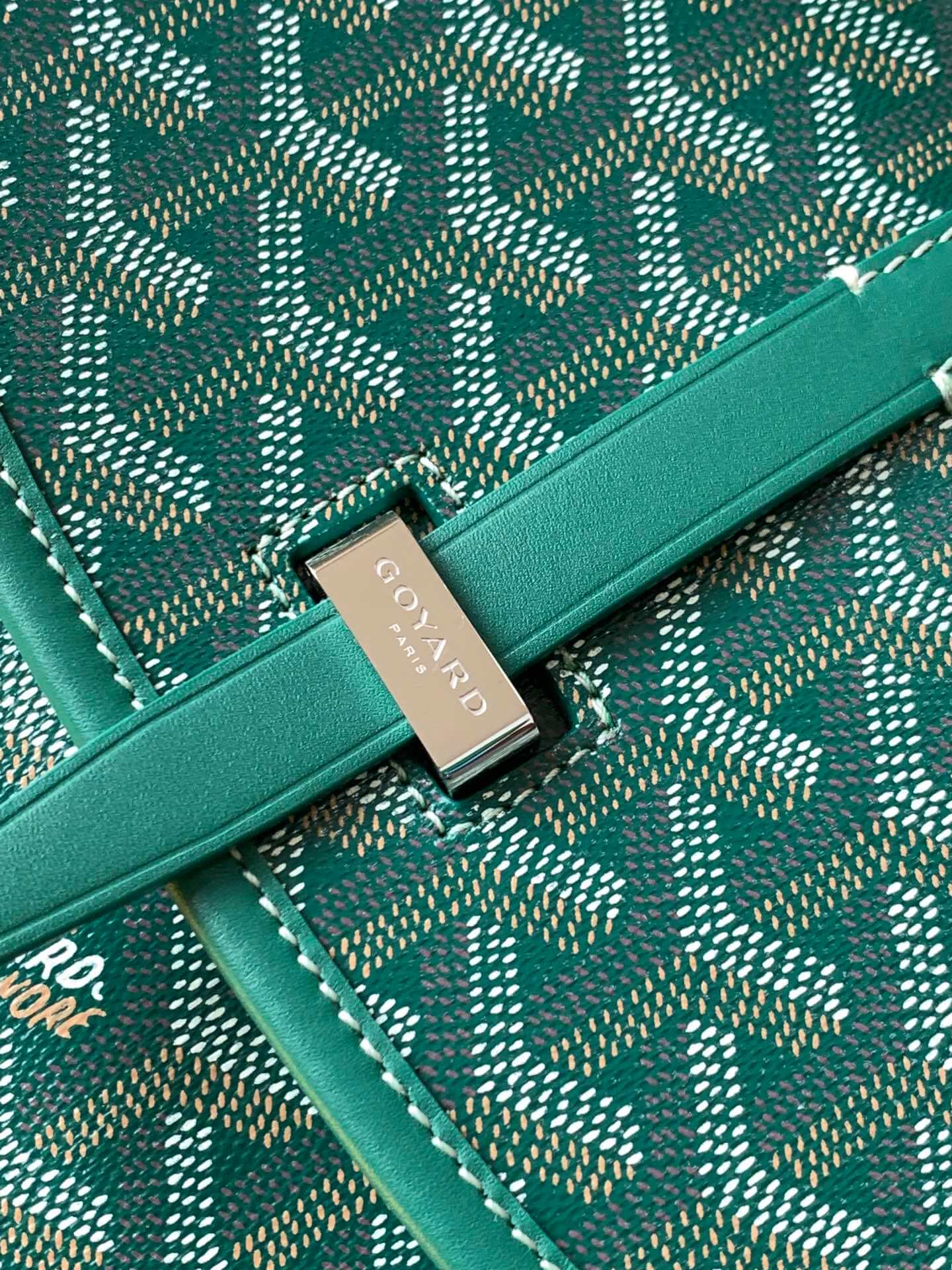 Goyard Belvedere PM Green Bag