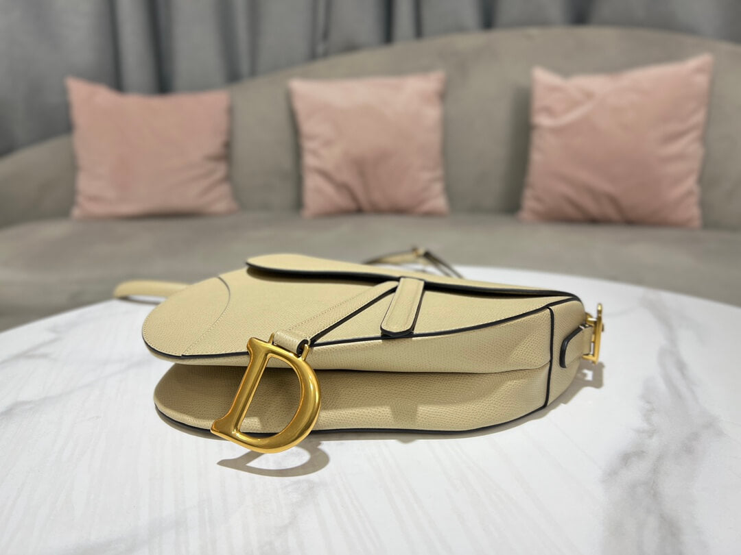 Dior Saddle Bag