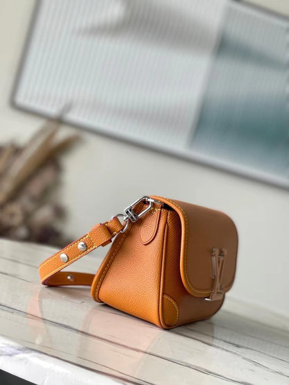 LV Buci Bag in Dark Brown