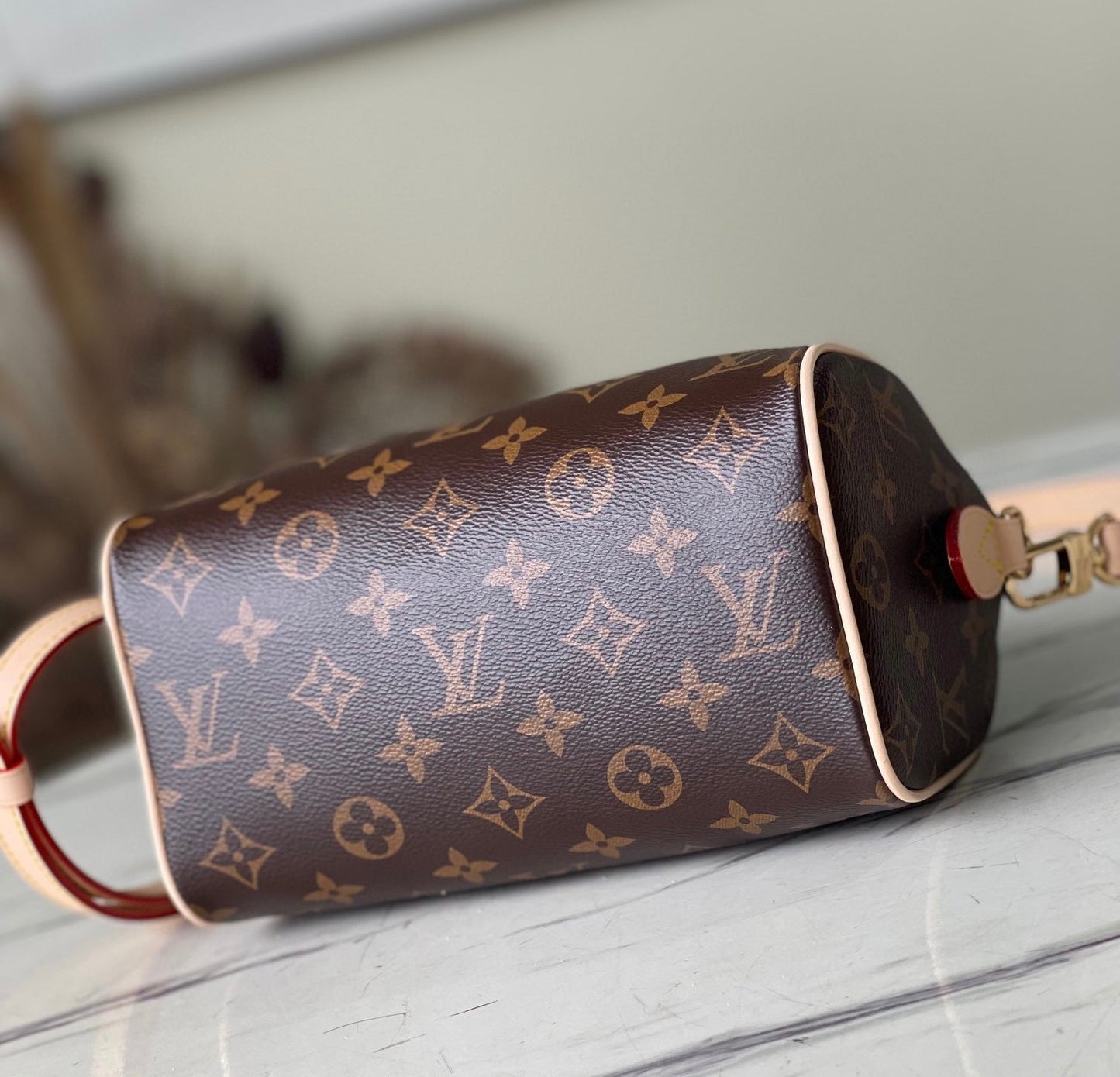LV Speedy 20 Bag