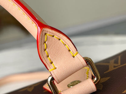 LV Speedy 20 Bag