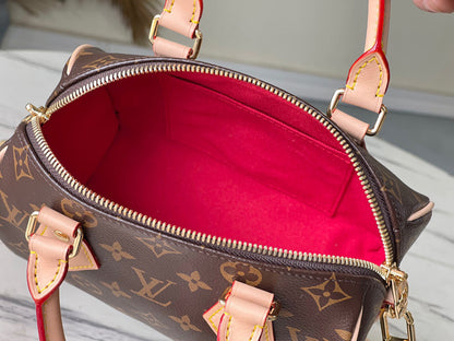 LV Speedy 20 Bag