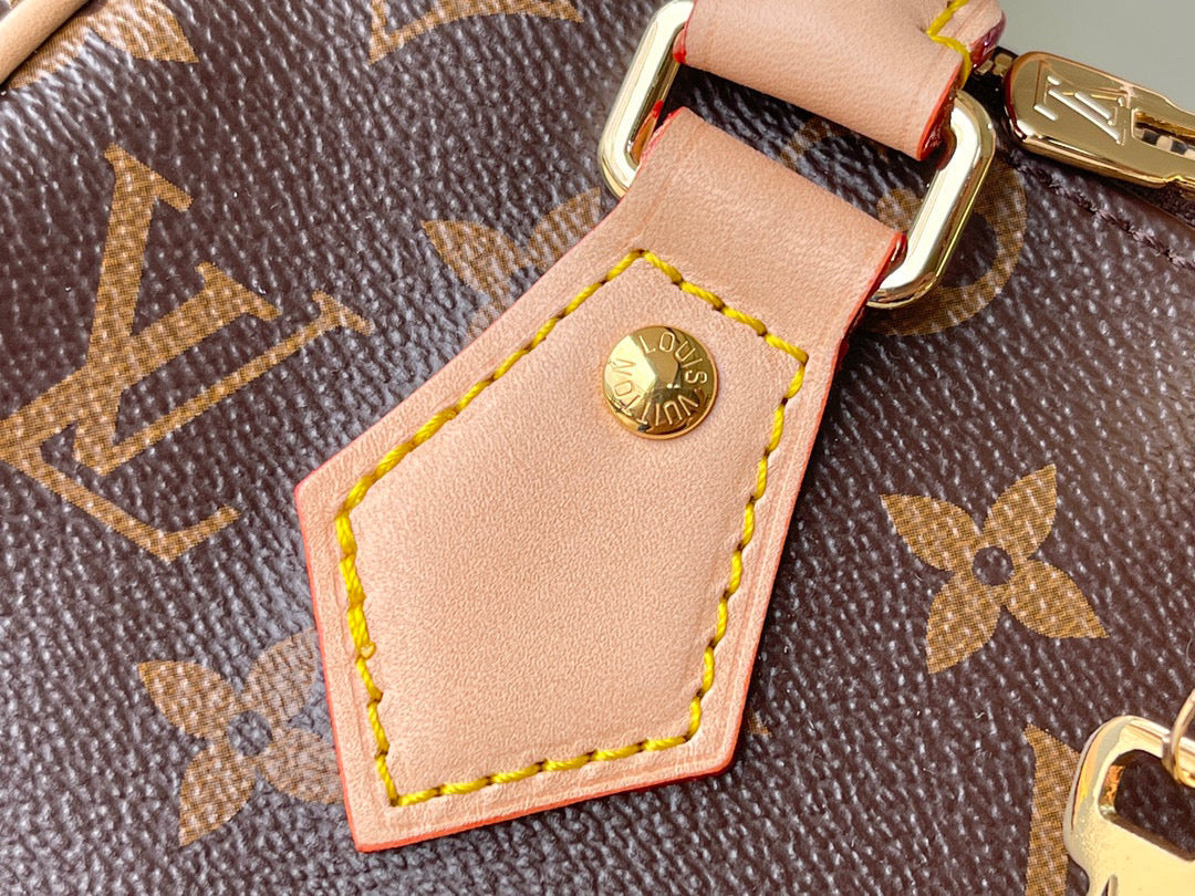 LV Speedy 20 Bag