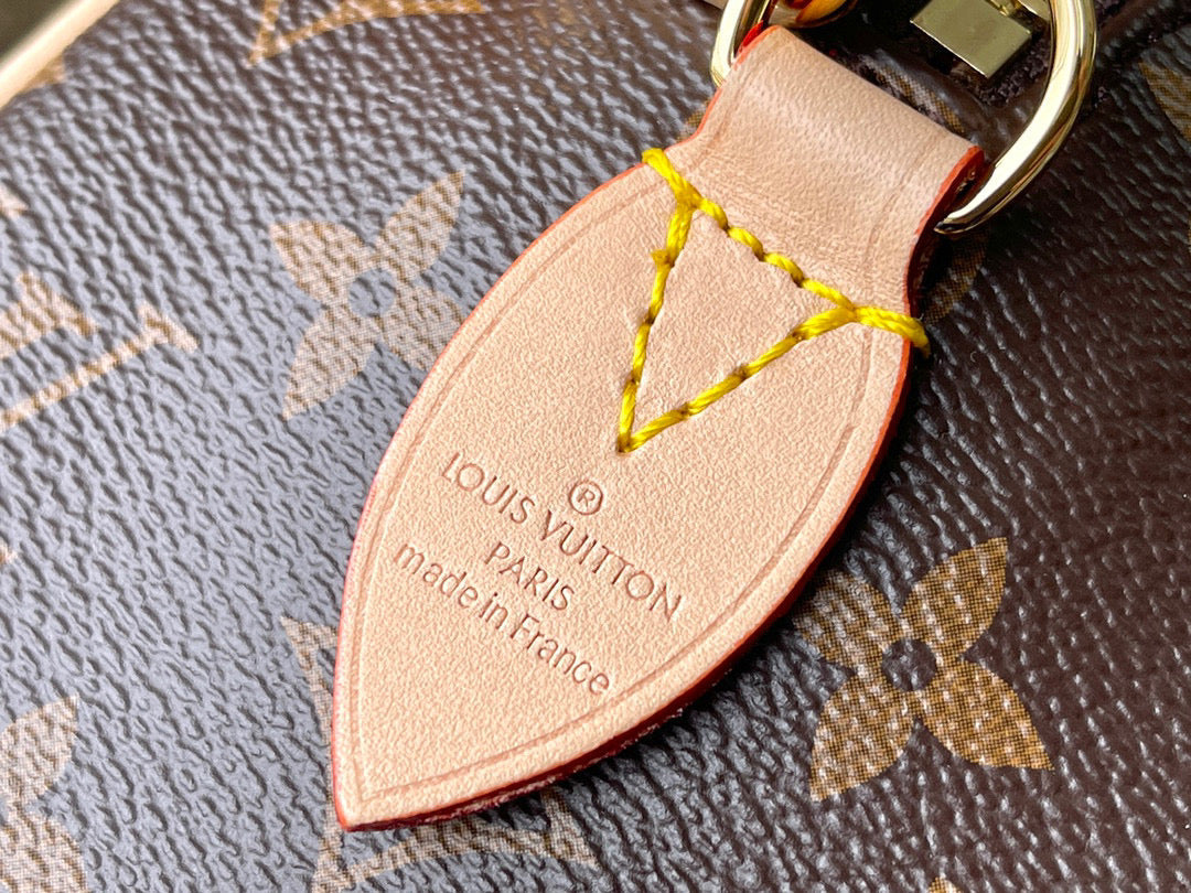 LV Speedy 20 Bag