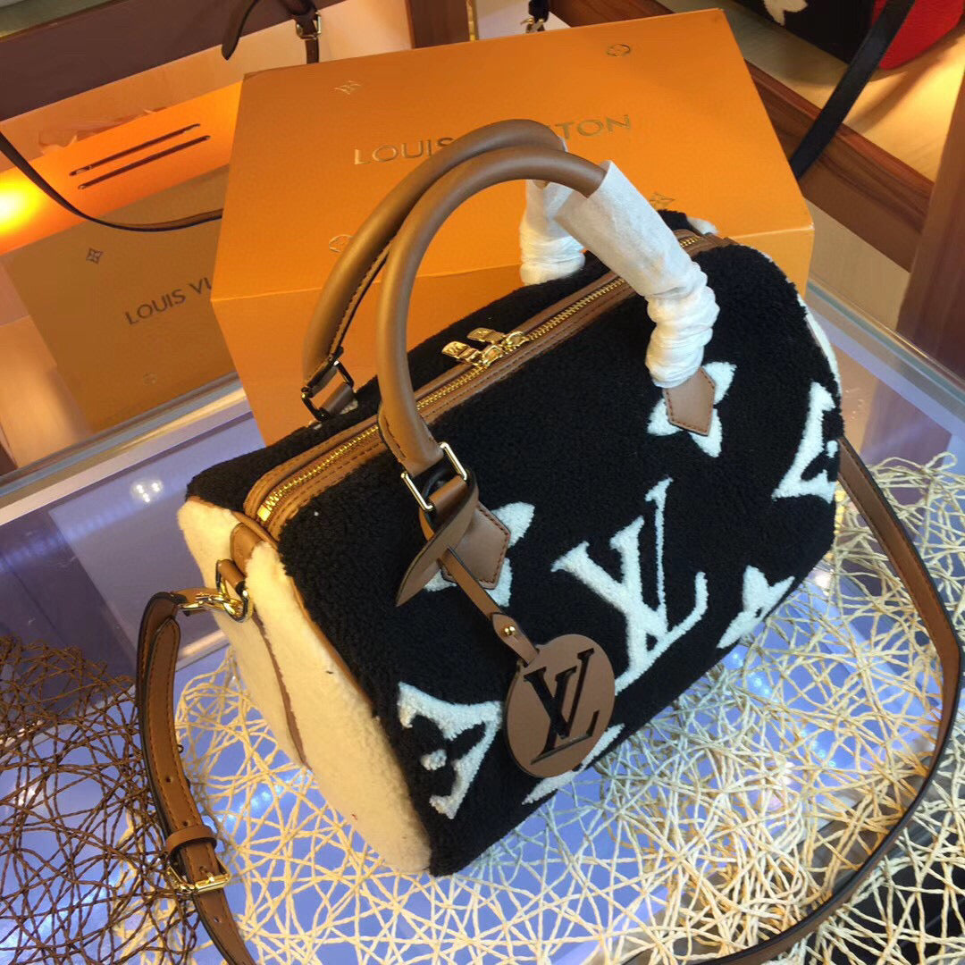 LV Speedy Teddy Bag