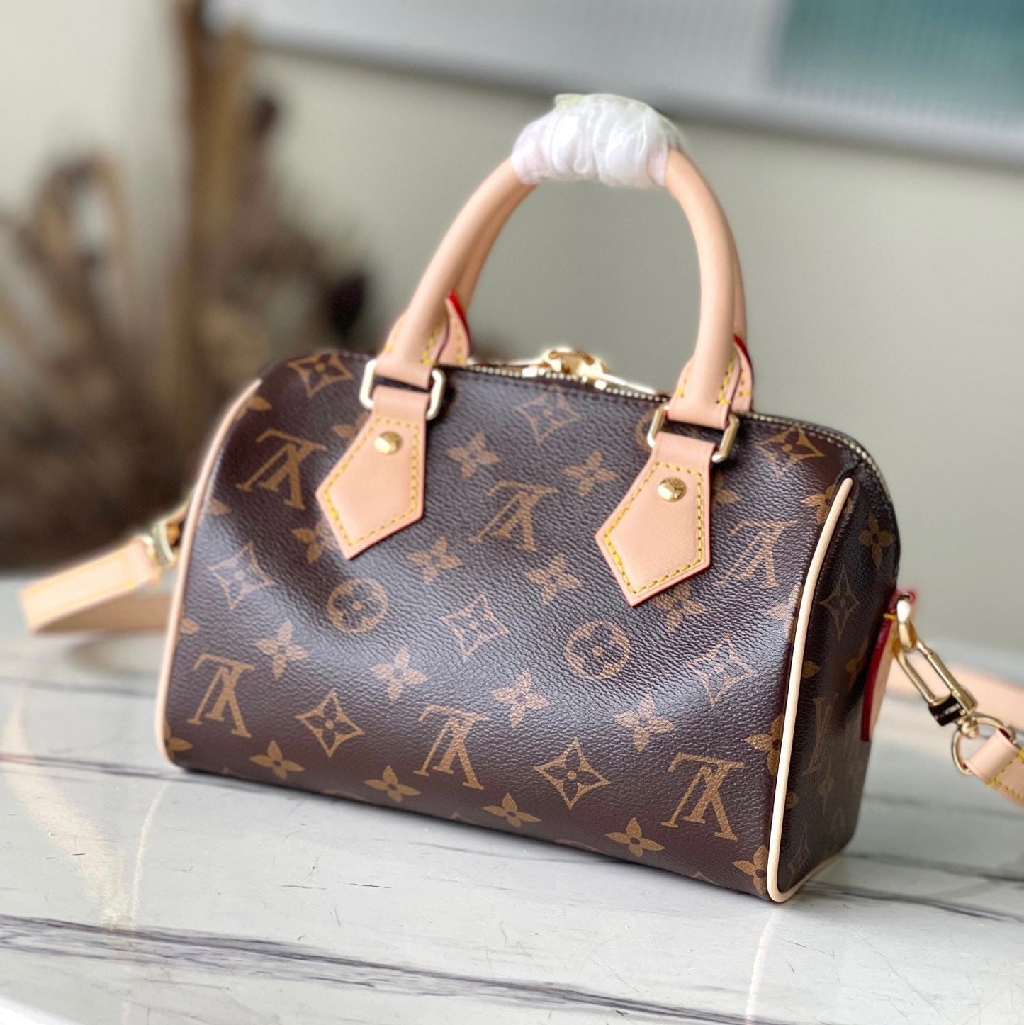 LV Speedy 20 Bag