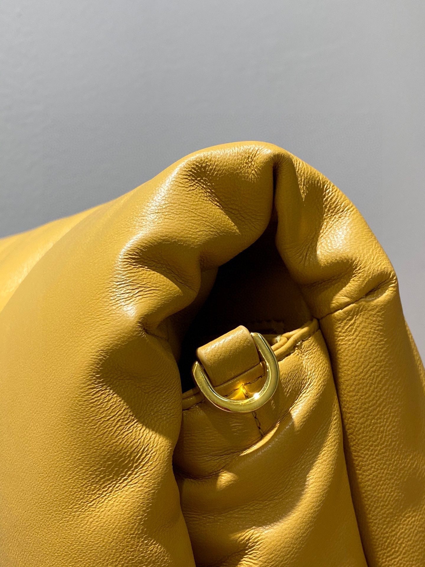 Loewe Puffer Goya Bag