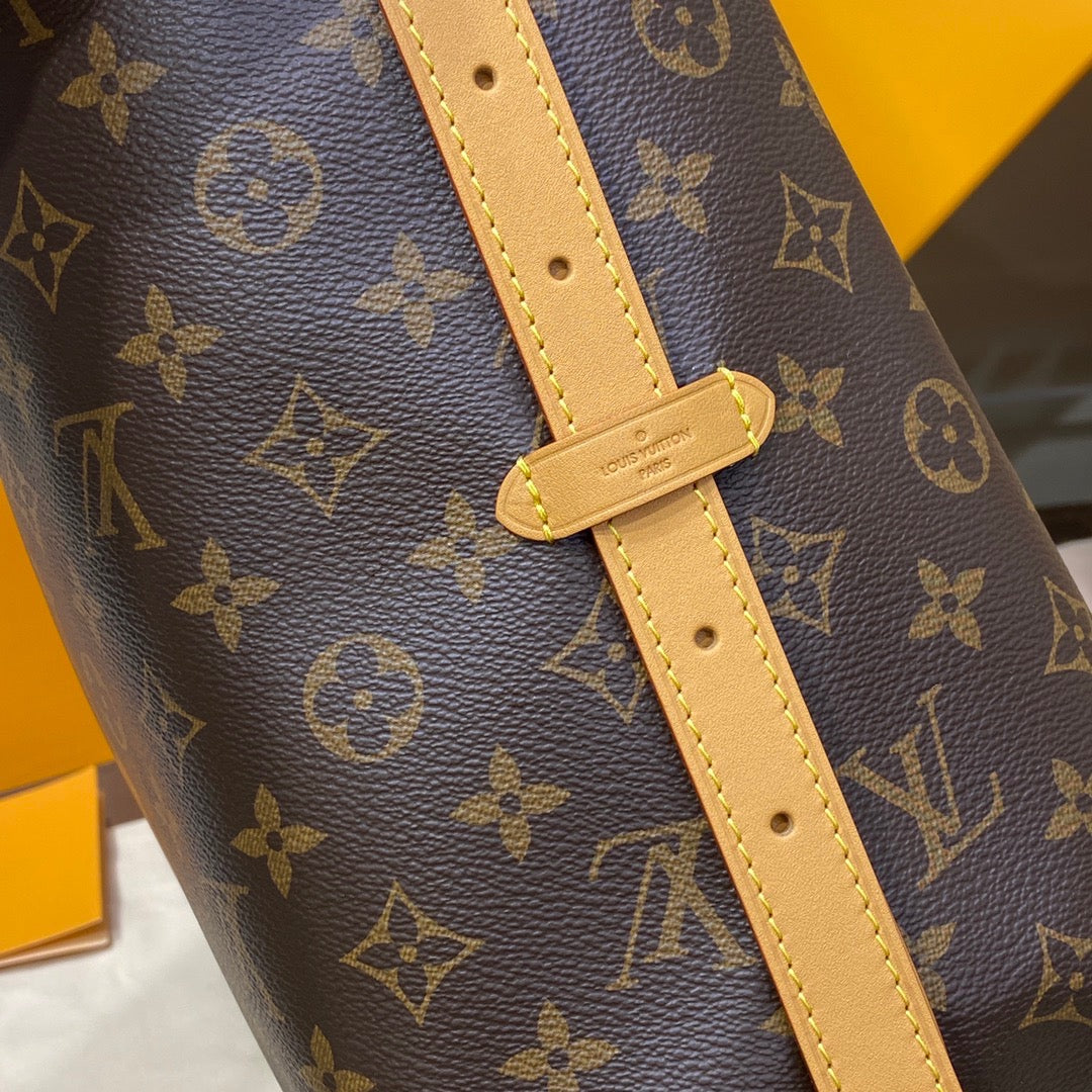 LV CarryAll Bag