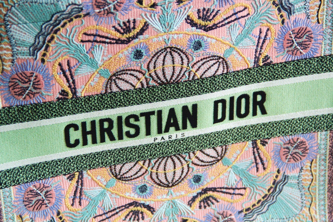 Dior Book Tote Bag