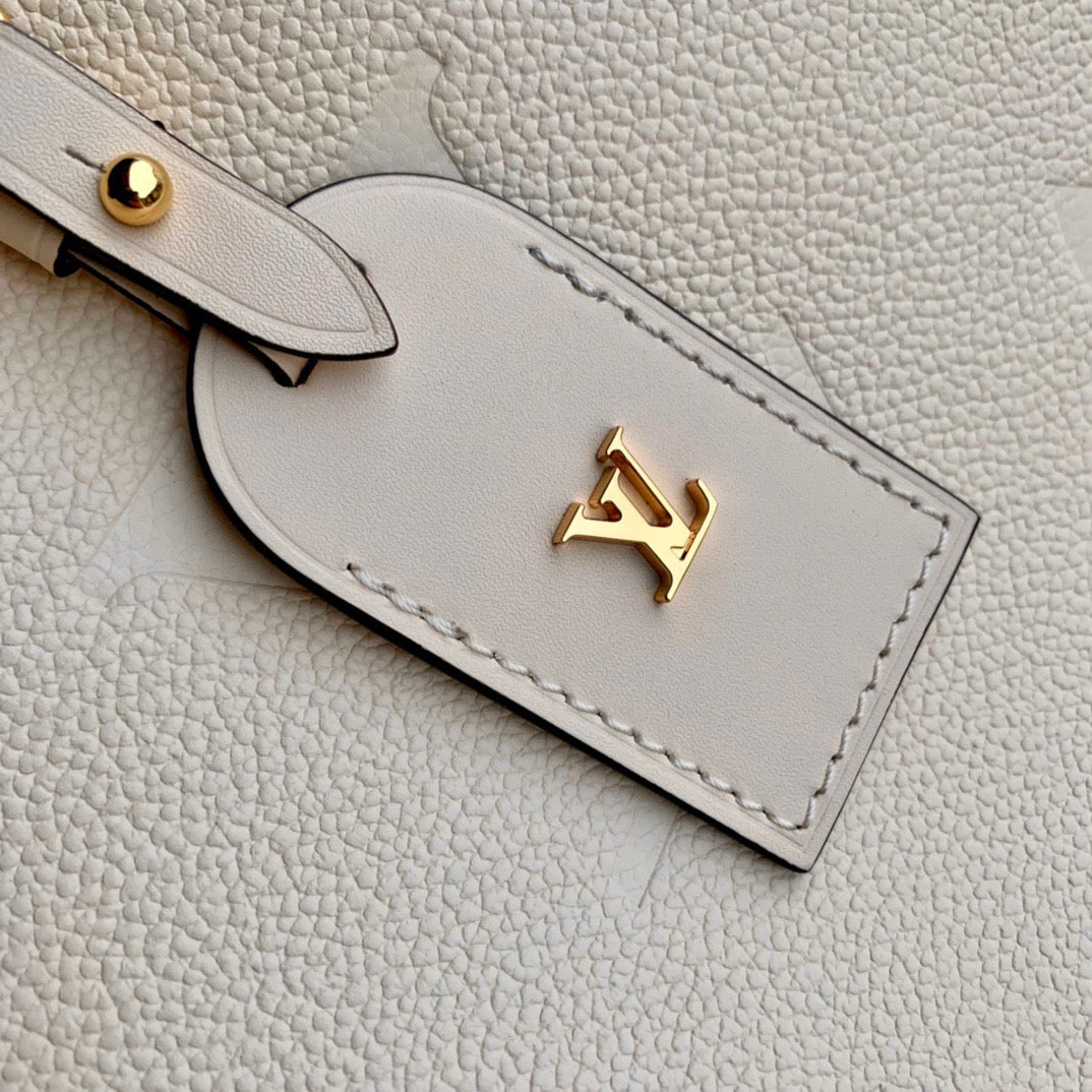 LV CarryAll Bag