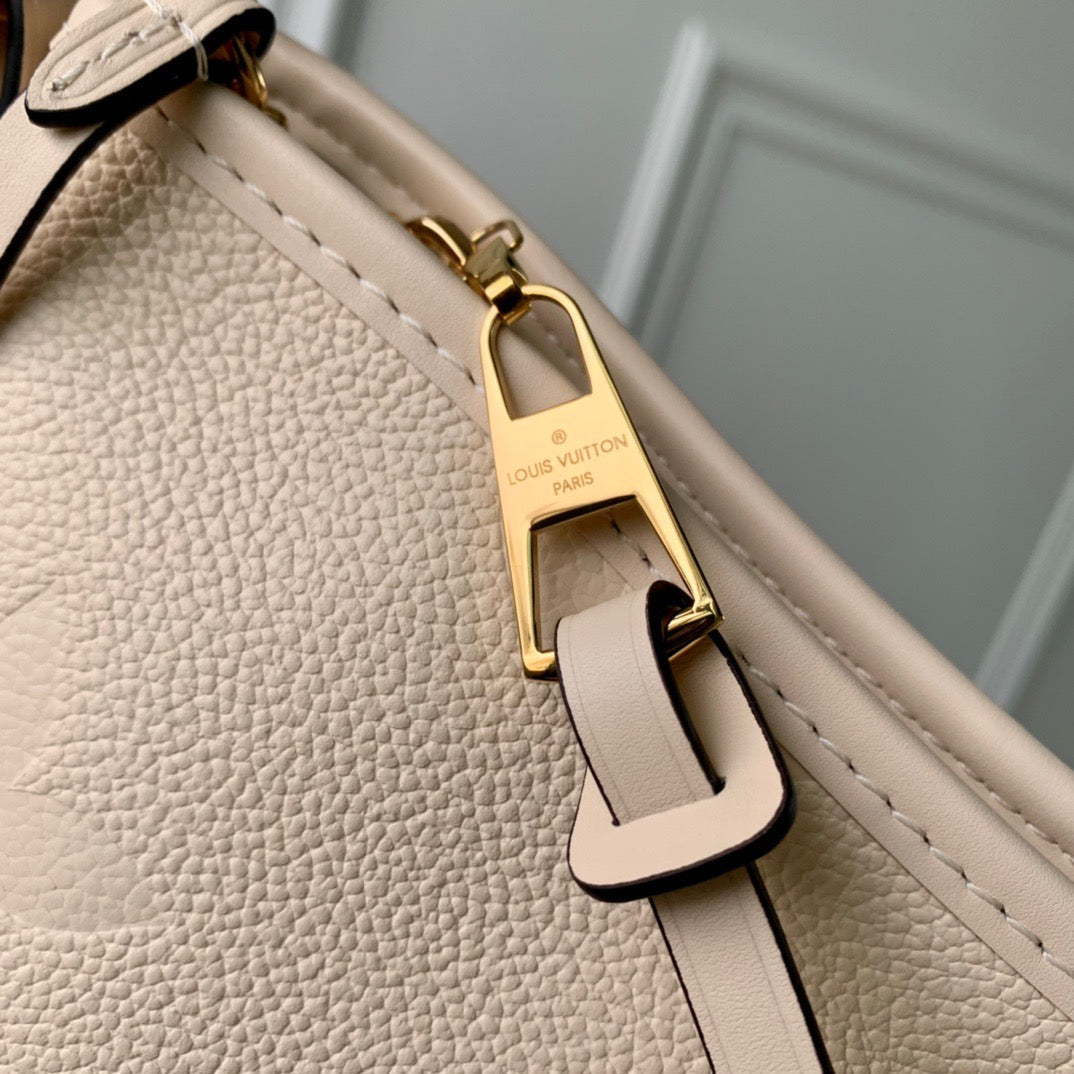 LV CarryAll Bag