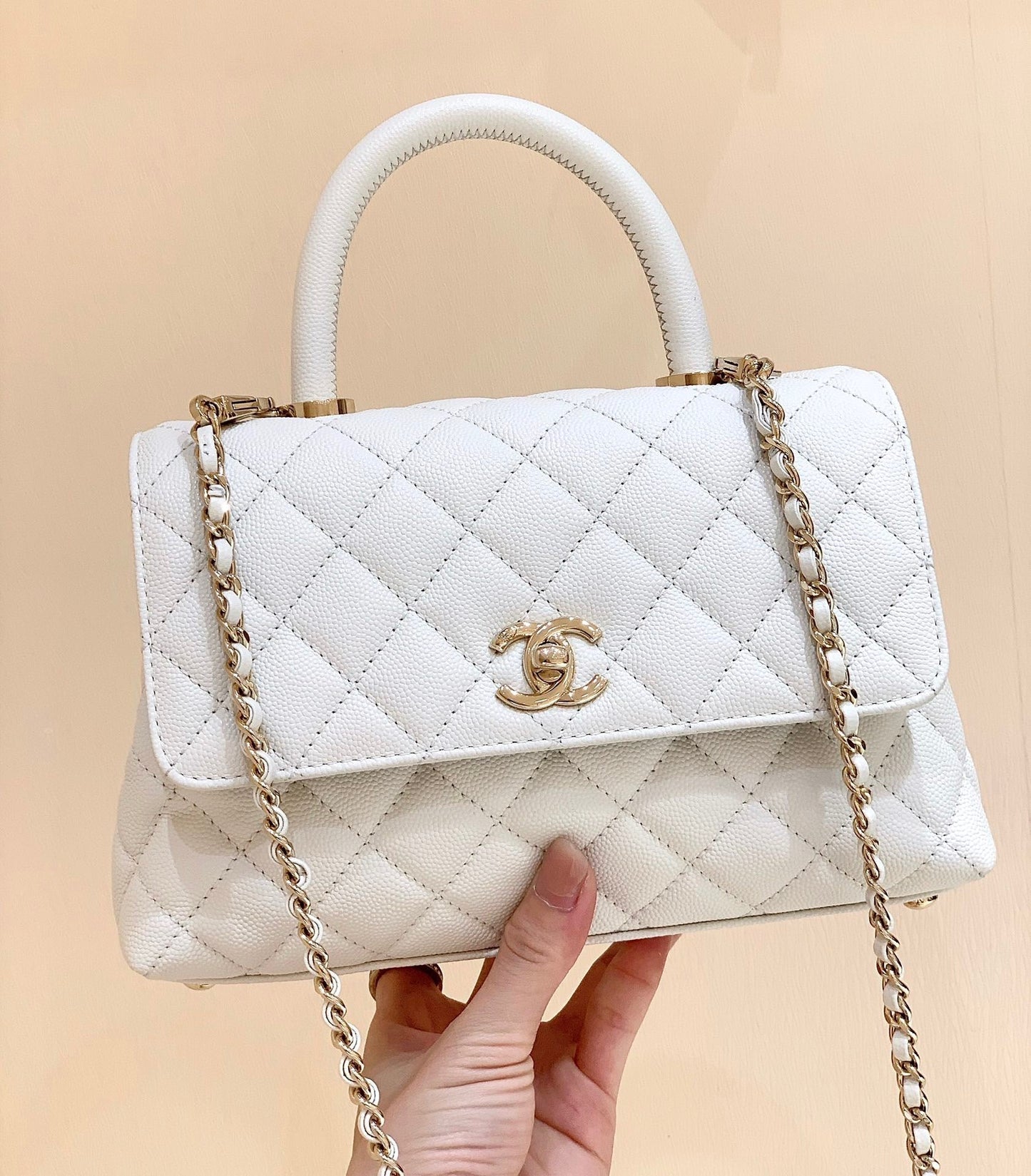 Chanel coco Handle Bag