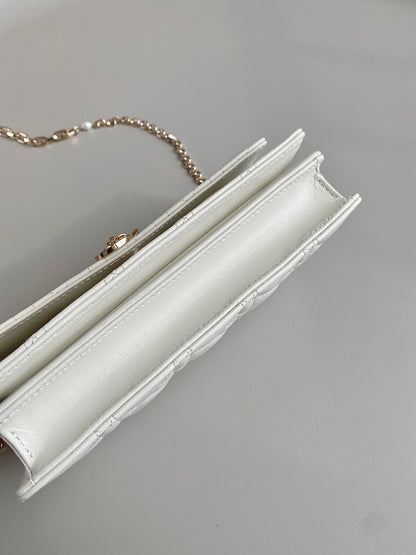 Lady Dior Top Handle Bag