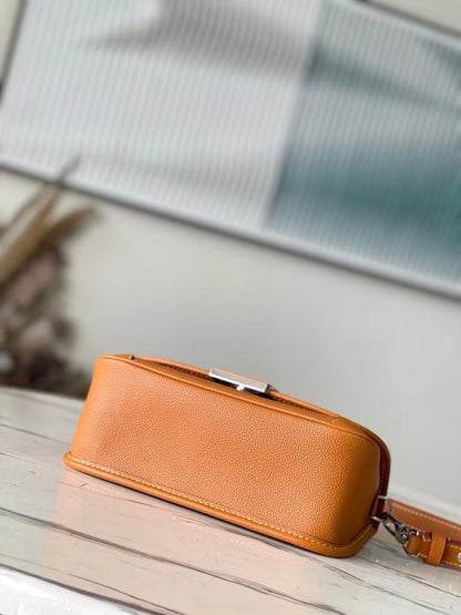 LV Buci Bag in Dark Brown