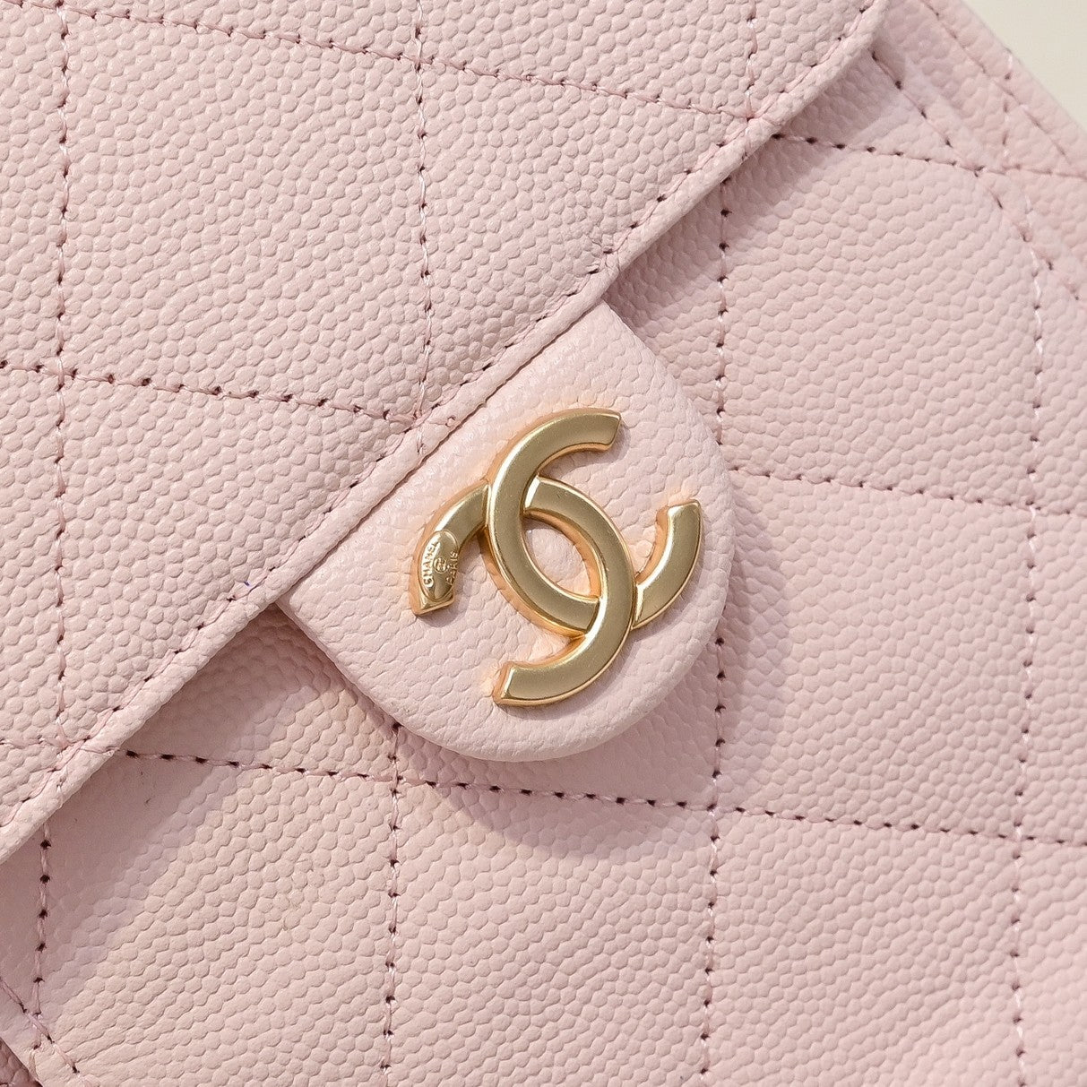 Chanel Hobo 25c Pink Handbag