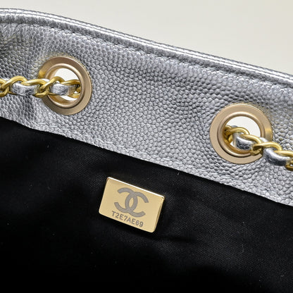 Chanel Hobo 25c Light Gray Handbag