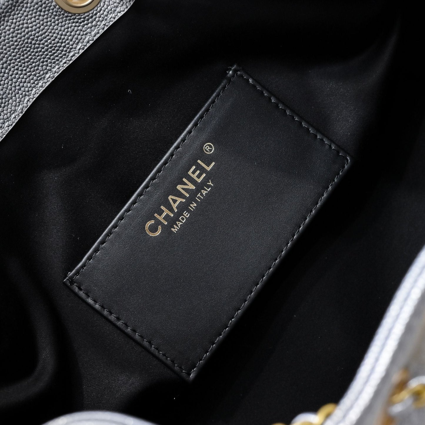Chanel Hobo 25c Light Gray Handbag